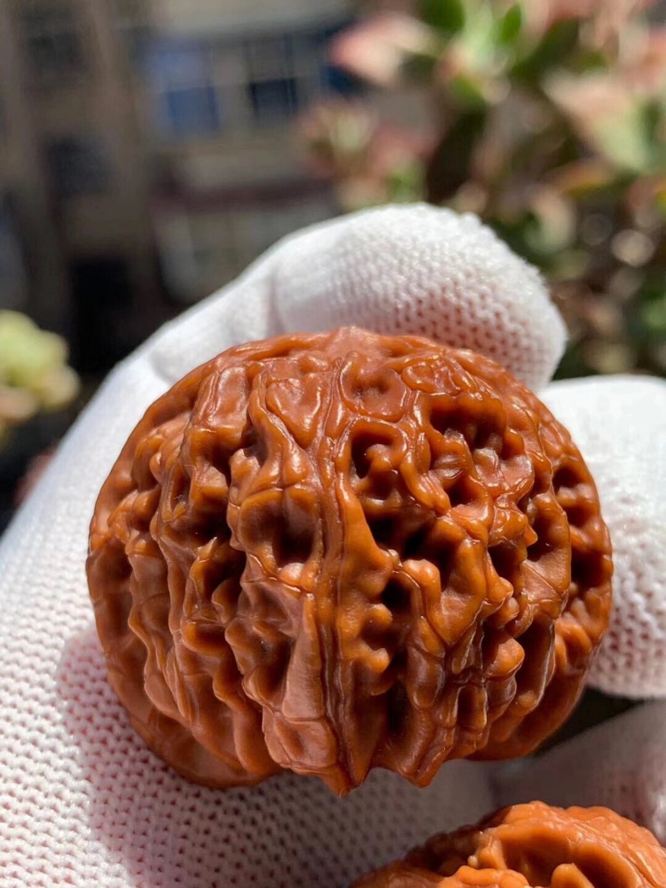 文玩核桃苹果园深度解读96挑选攻略9215 要找一对矮圆桩,纹路