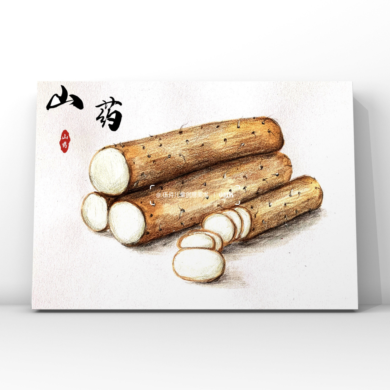 观察山药的外形,色彩和细节的特点,运用马克笔结合彩铅的创作方式表现