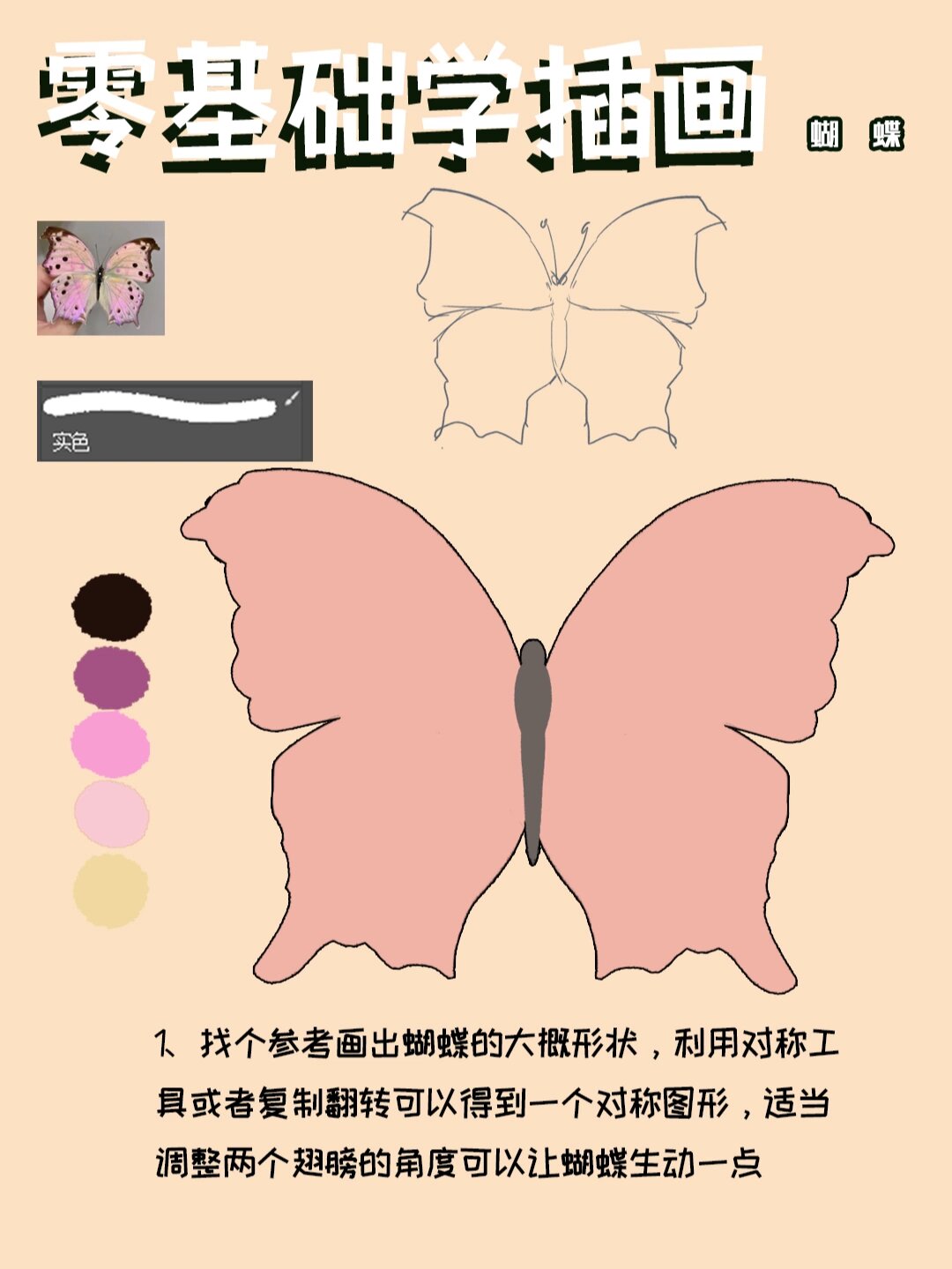 插画教程‖如何画出高质量蝴蝶