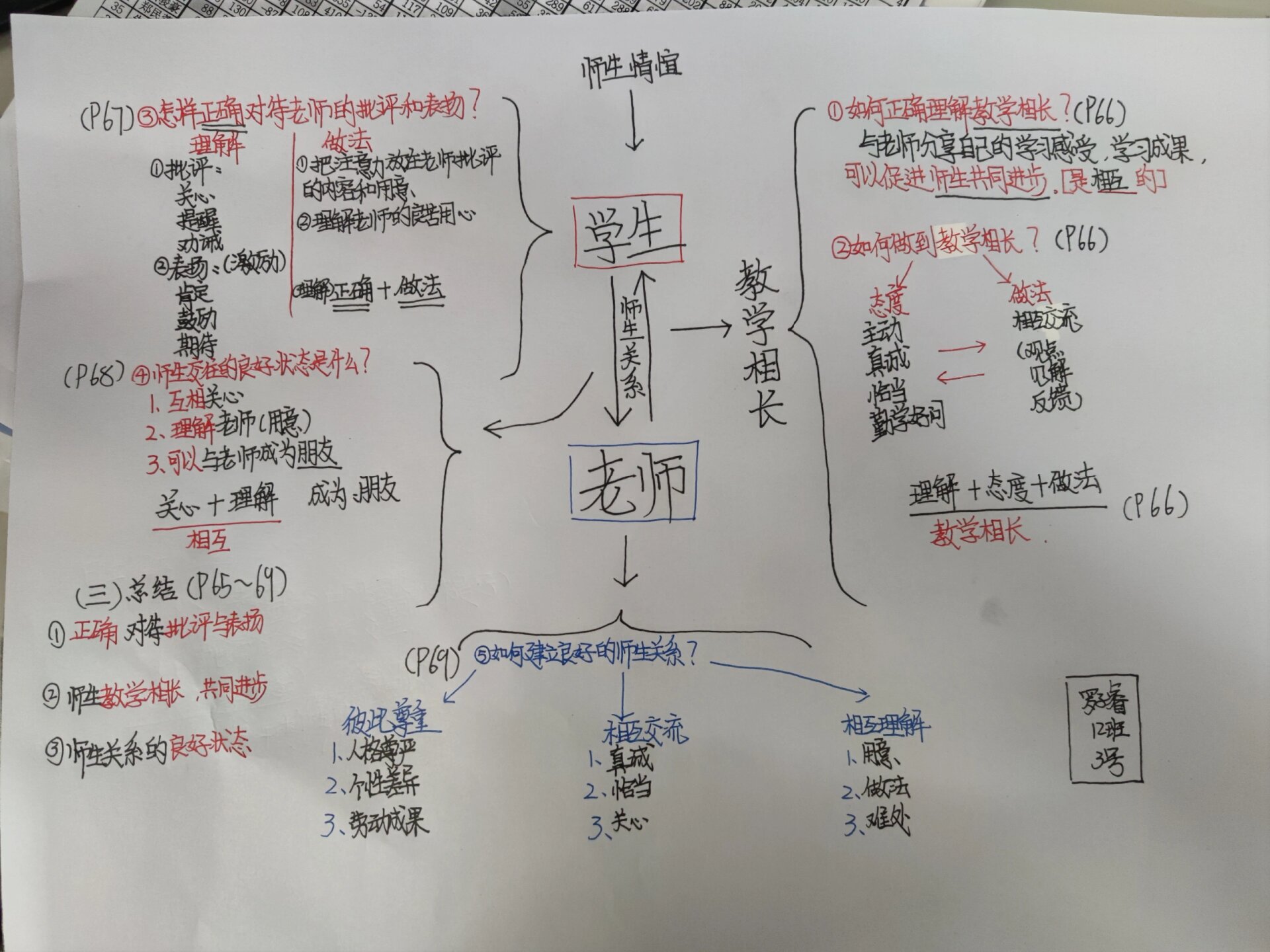 政治师生交往思维导图图片