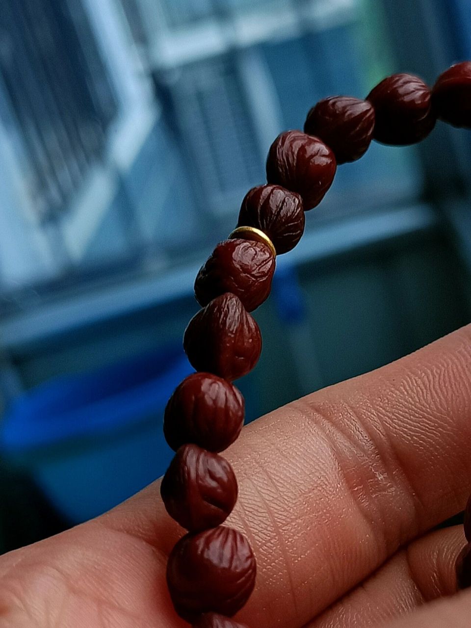 龙纹桃核 大的柳叶龙地球仪两年  小的龙纹金鱼肚1年 长串也是一年