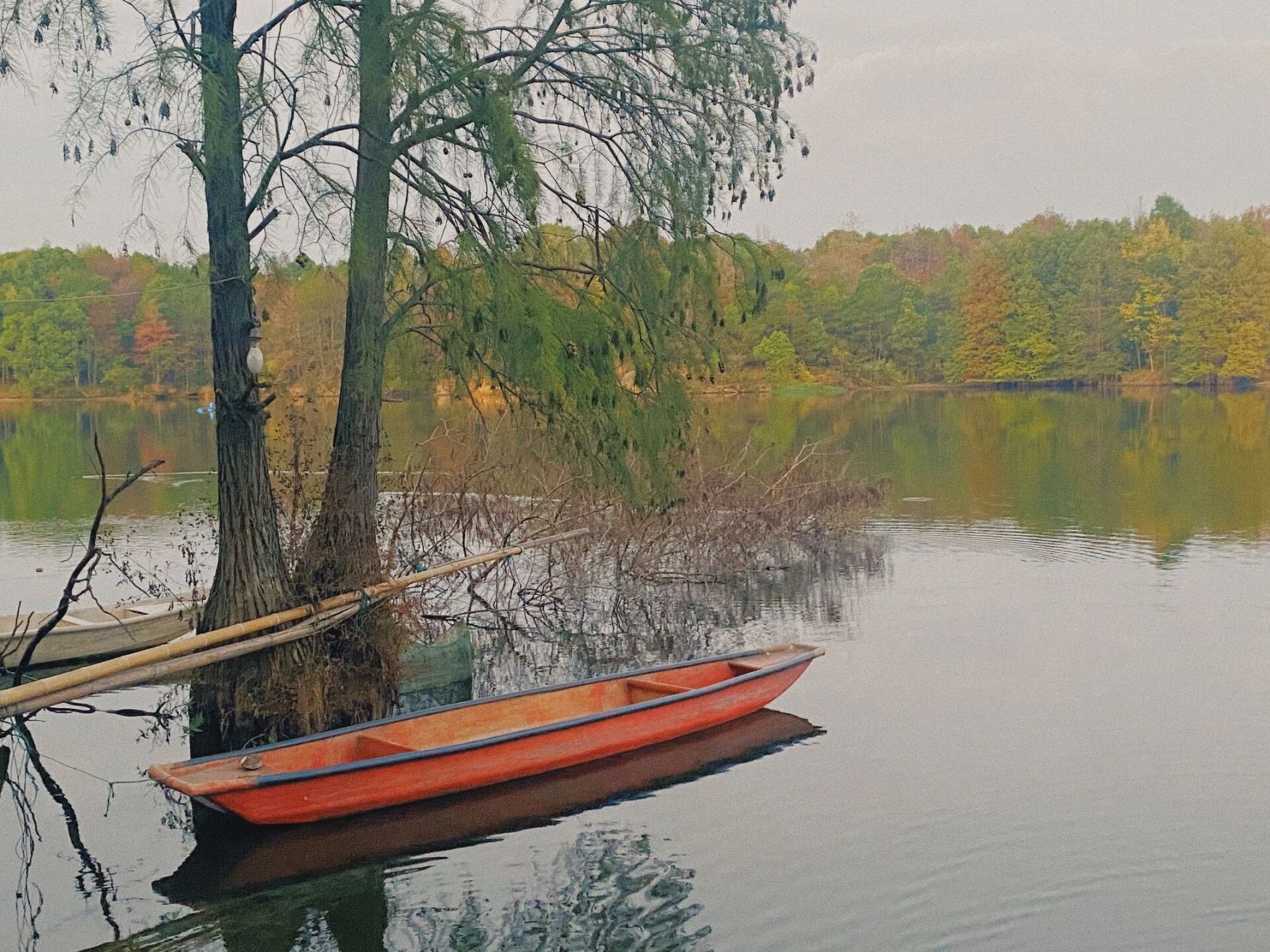 兰溪东风水库/钓鱼 本来是去兰溪游埠早茶街吃早餐,吃完早餐搜了一下