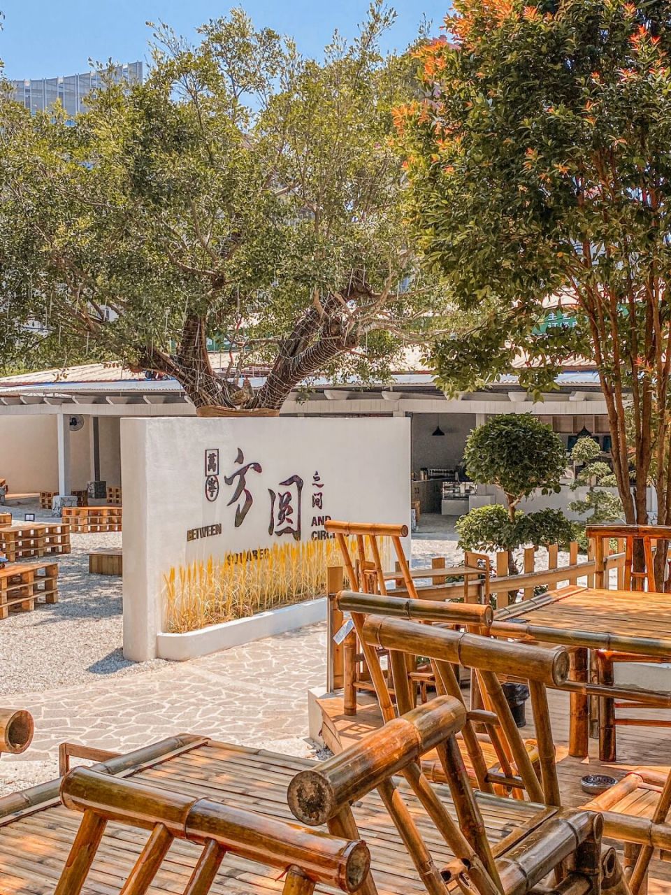 万宁新店97中式古风庭院下午茶太赞 我太喜欢这种小众清静的茶馆