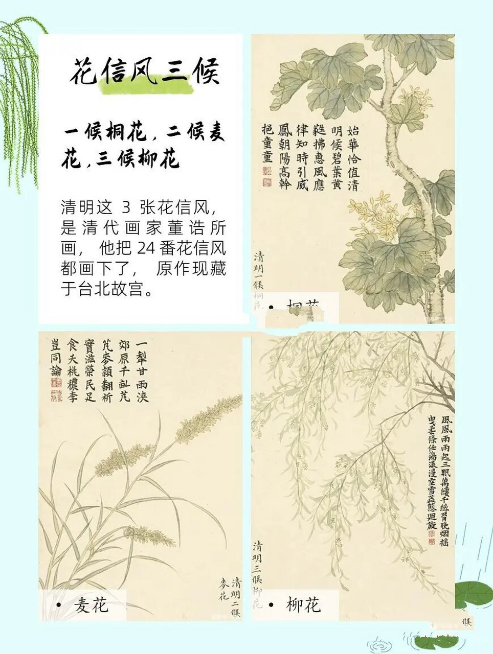 清明花信风三候图片