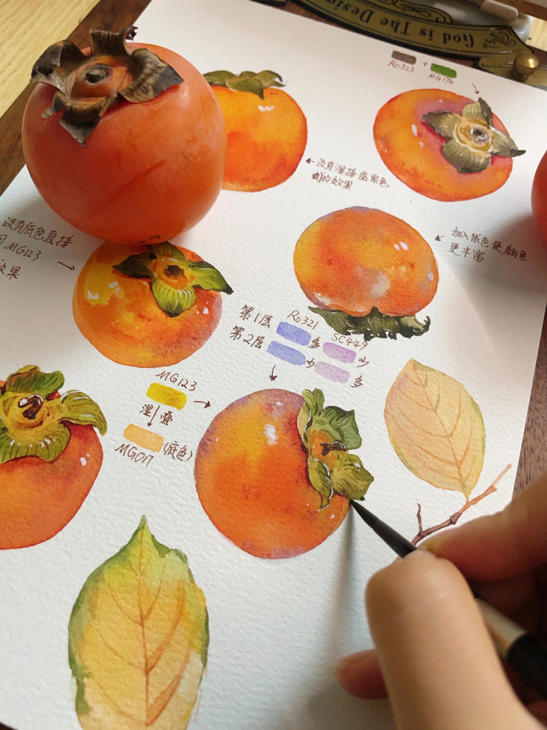 水彩 | 脱稿柿子
