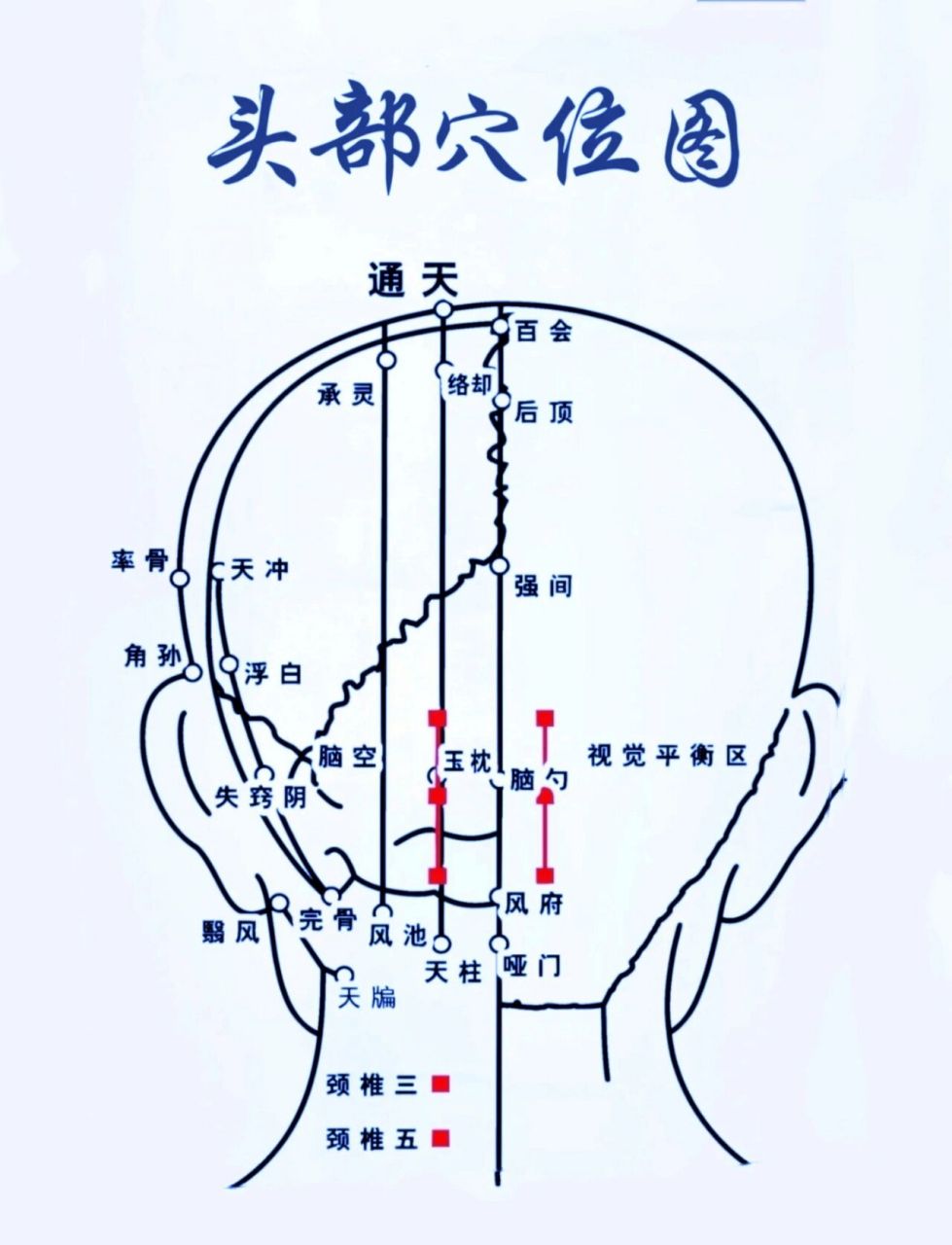 人体头部按摩位置图图片
