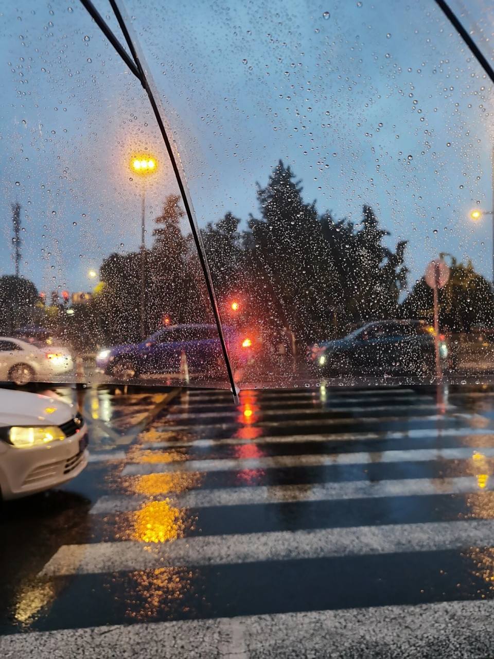 帮忙选选雨天打伞照片哪两张更有感觉