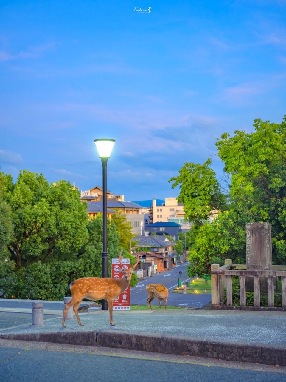 ipad壁纸|横竖屏通用97看这锁屏心情会变好 ipad横竖屏通用的壁纸好