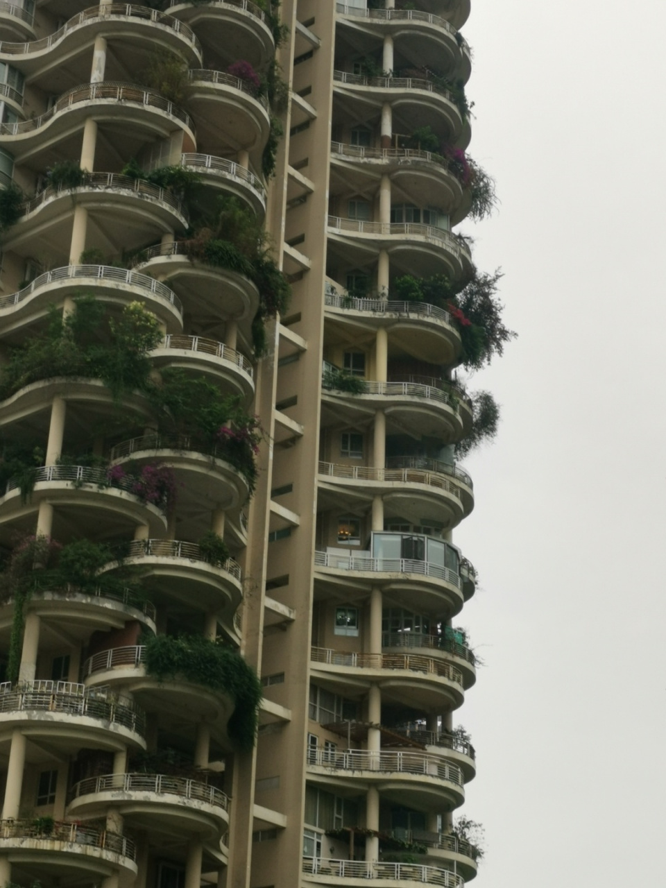 成都天鹅湖花园 成都天鹅湖花园 这里的大露台住的舒不舒服