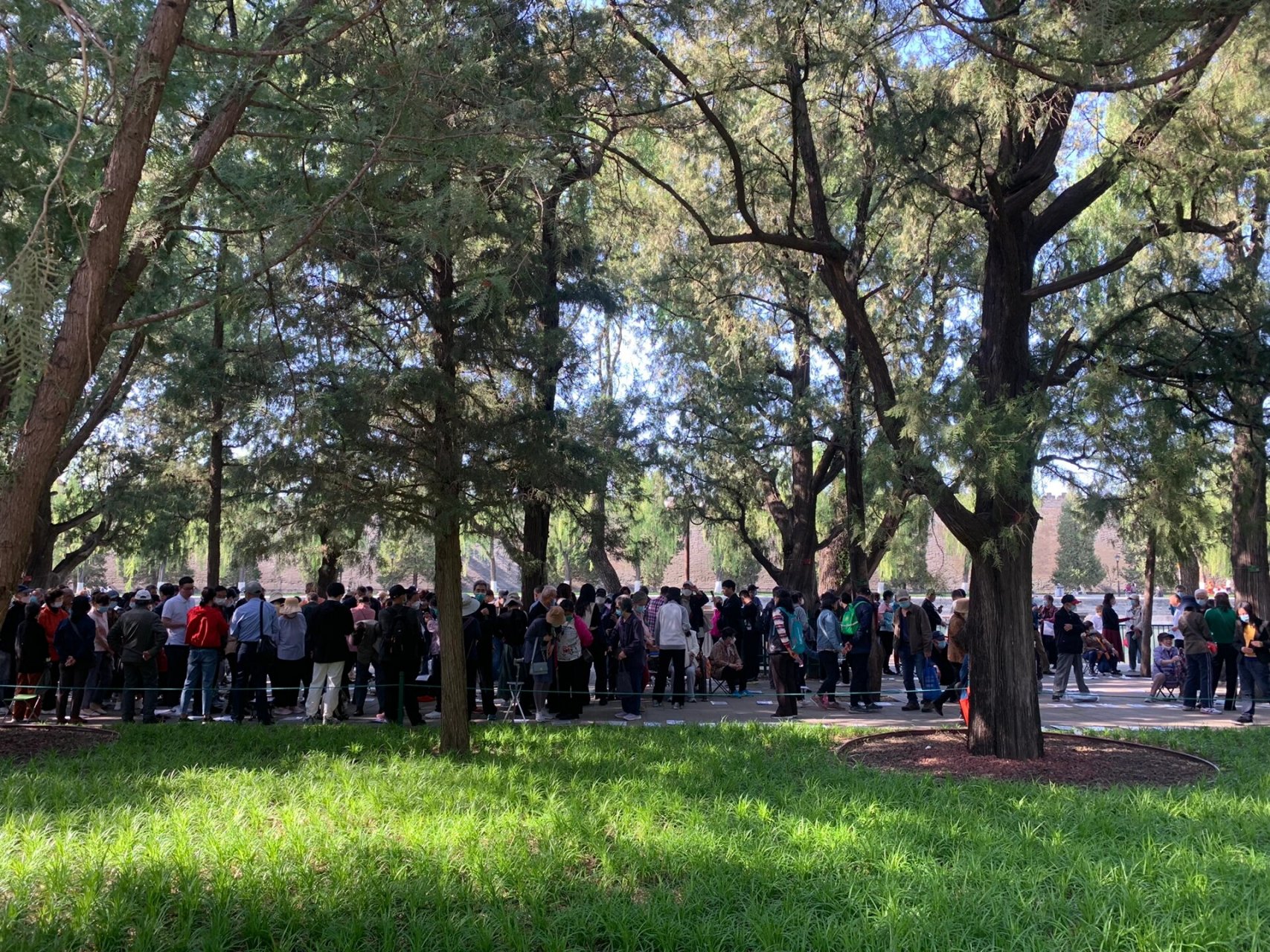 北京中山公园的相亲角好热闹 中山公园火的不仅是郁金香93,还有相亲