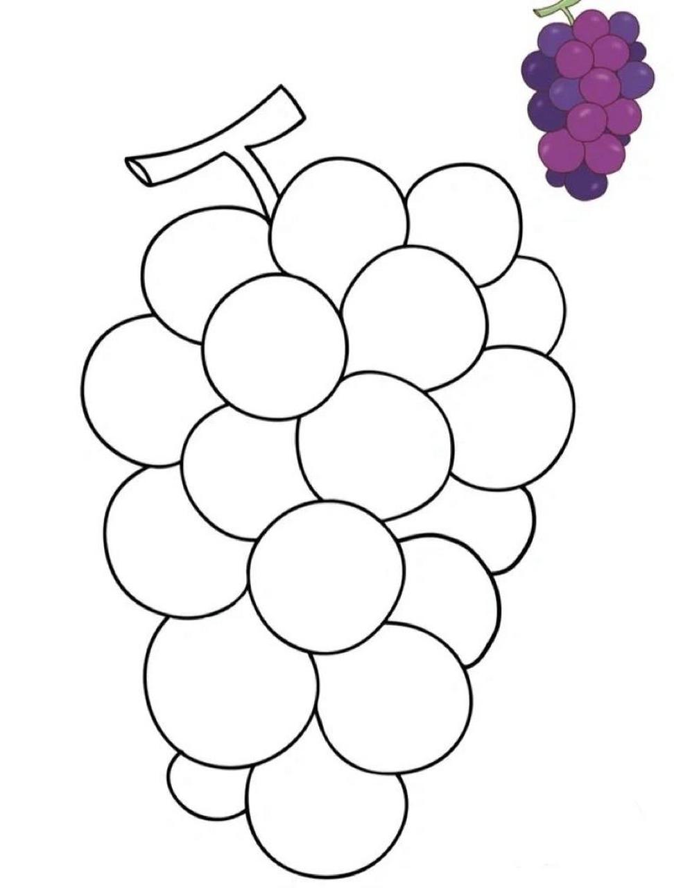 幼儿园水果&水果简笔画   水果简笔画