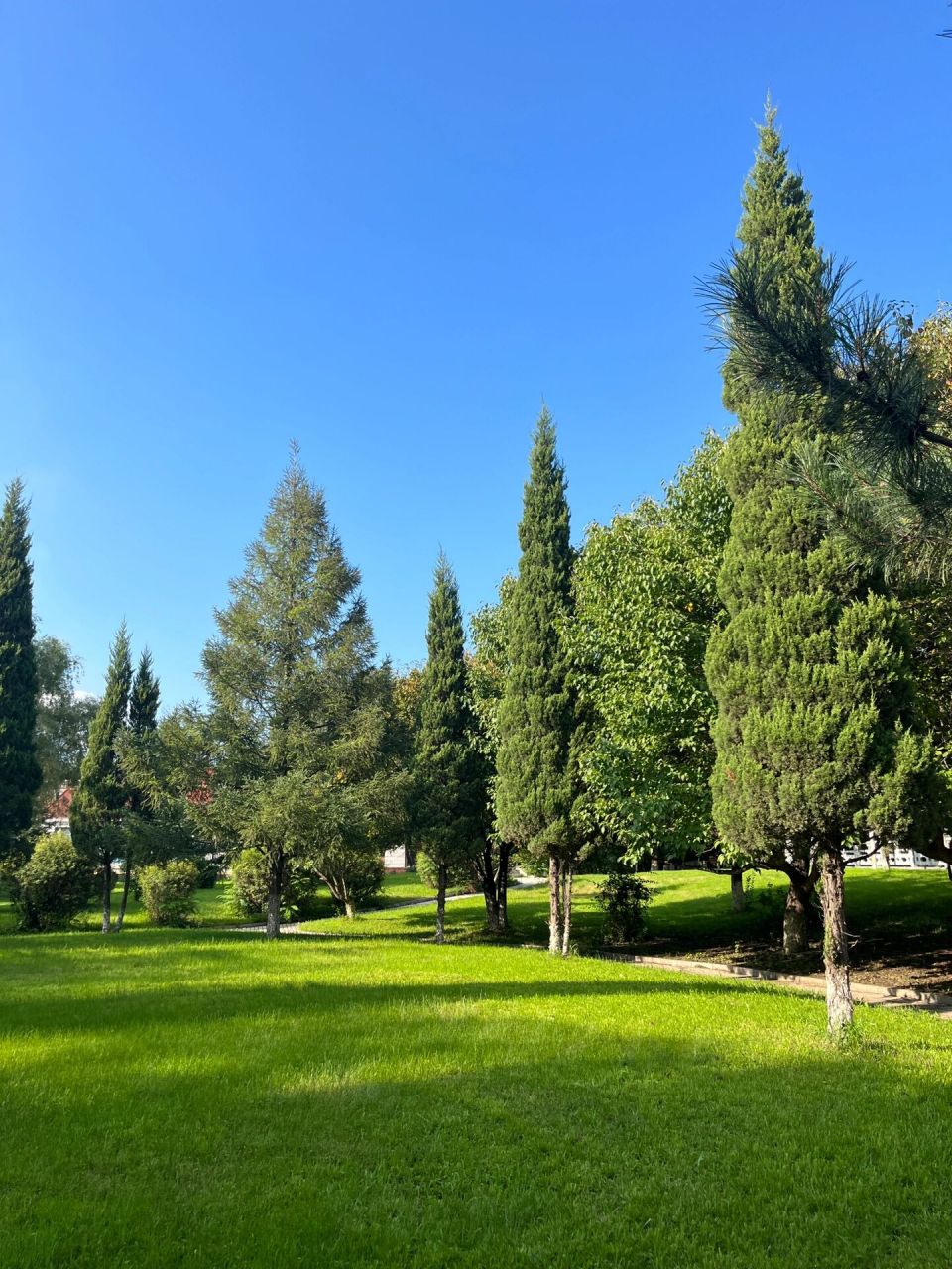 四平|免费露营公园"小颐和园"【红嘴子公园】  红嘴子公园是从我打