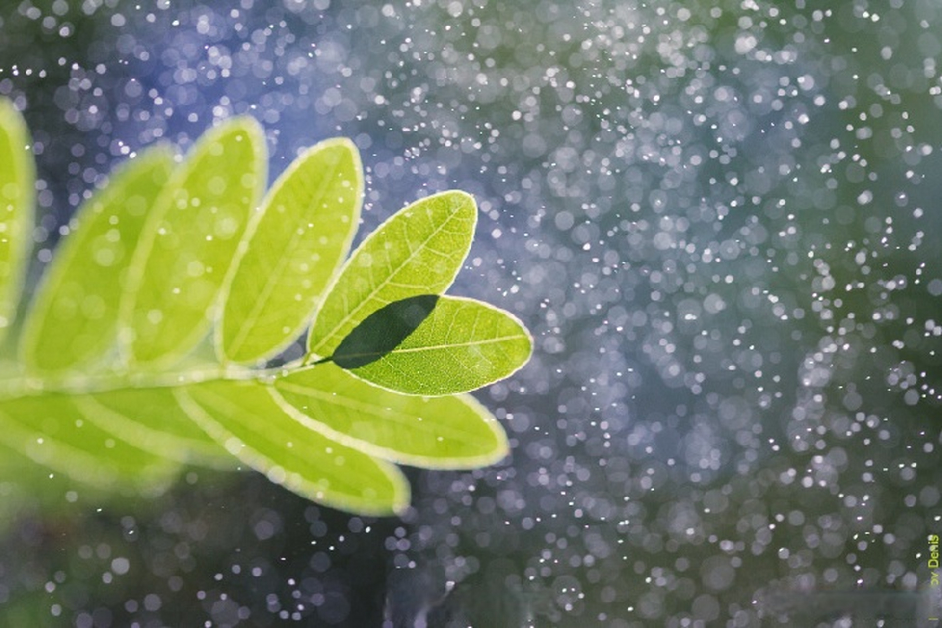 小雨气象图片图片