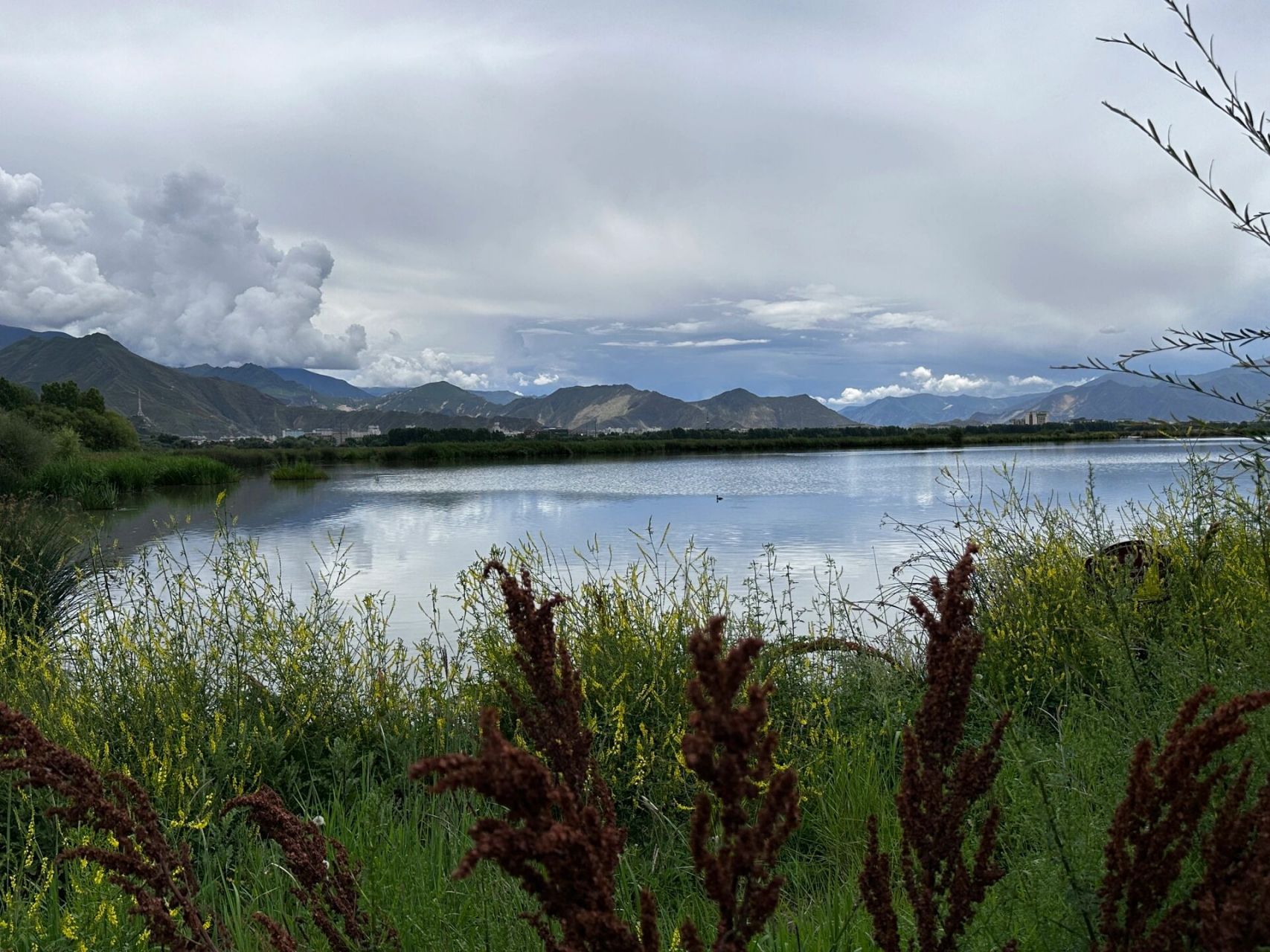 西藏day12 拉鲁湿地公园 一定要去!