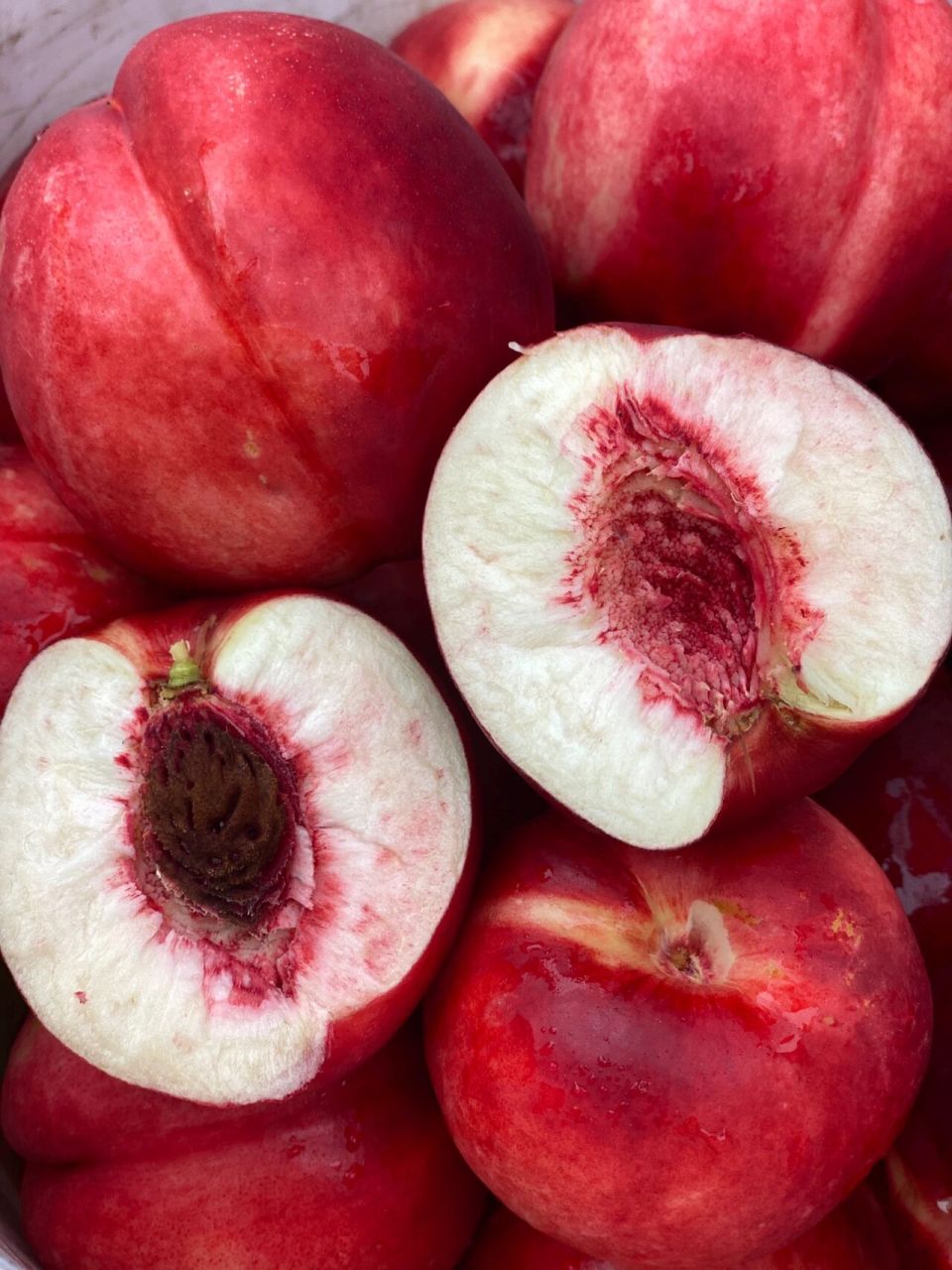 平谷大桃采摘攻略 📍:导航目的地1⃣️后西路2⃣️平关路3