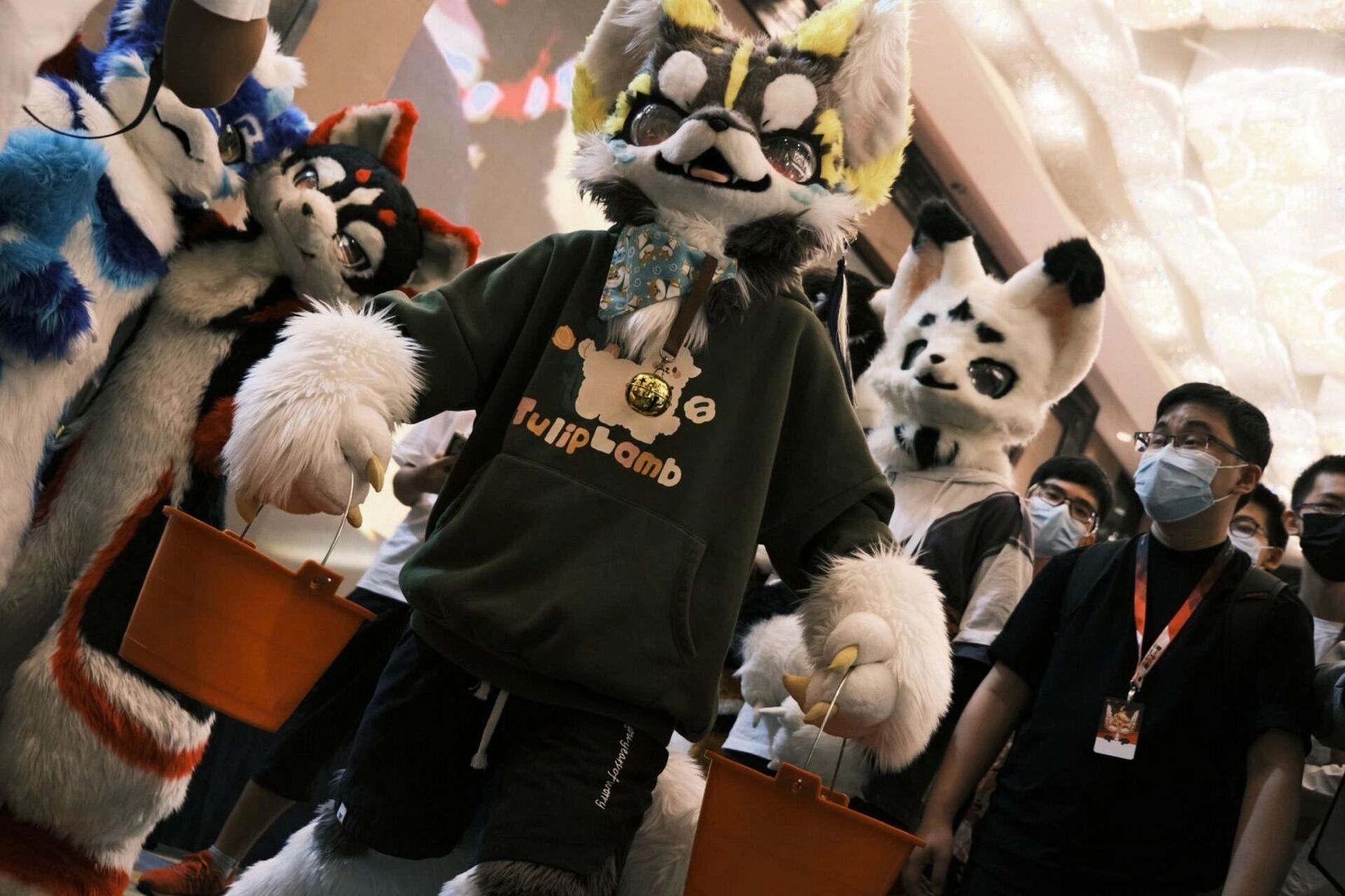 大总攻鹿野灸     图片:鹿野灸 侵权可删