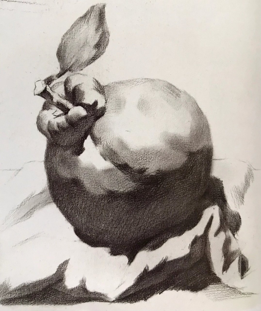 素描橘子详细步骤图