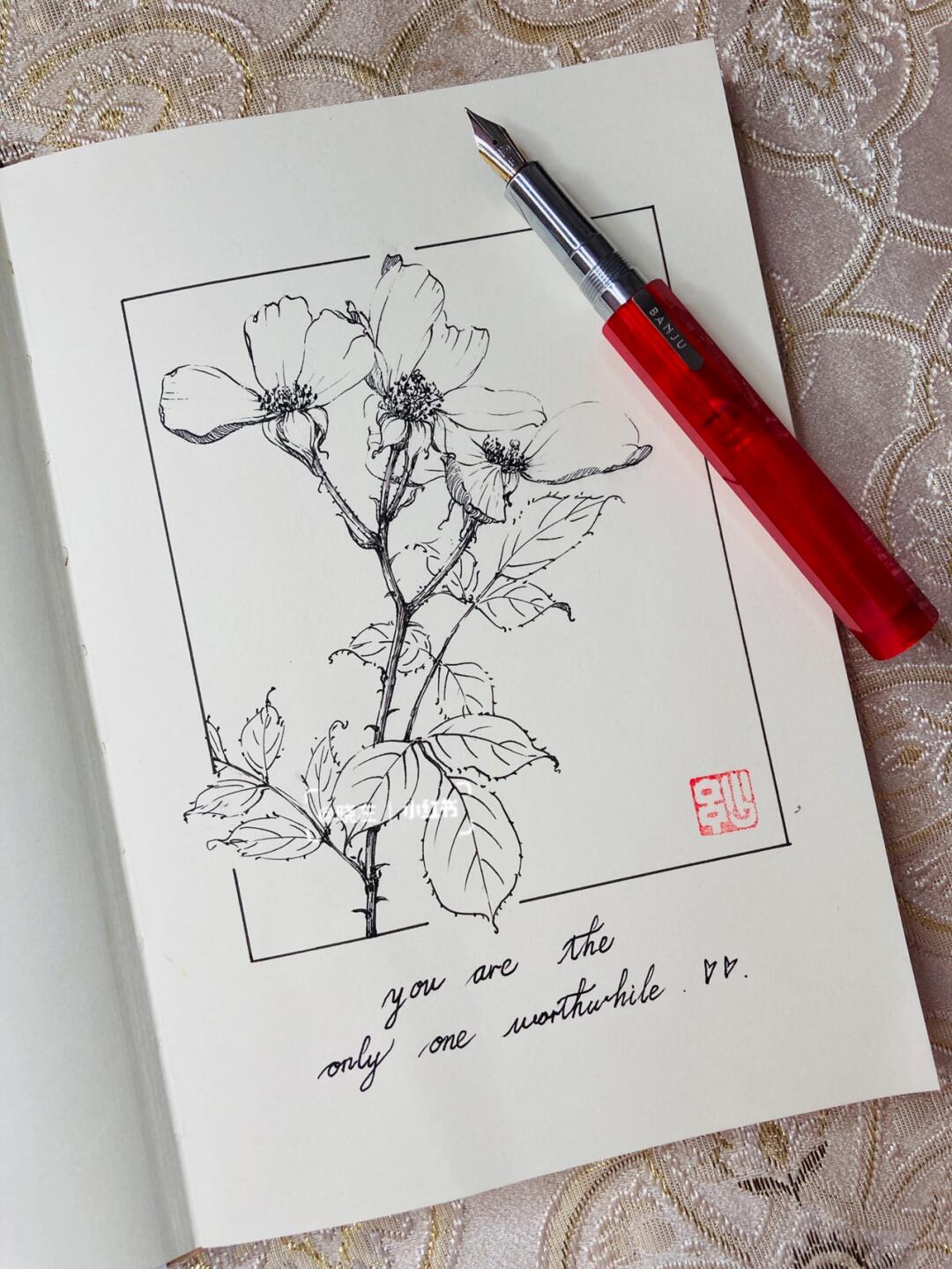 开本钢笔速写:玫瑰一支