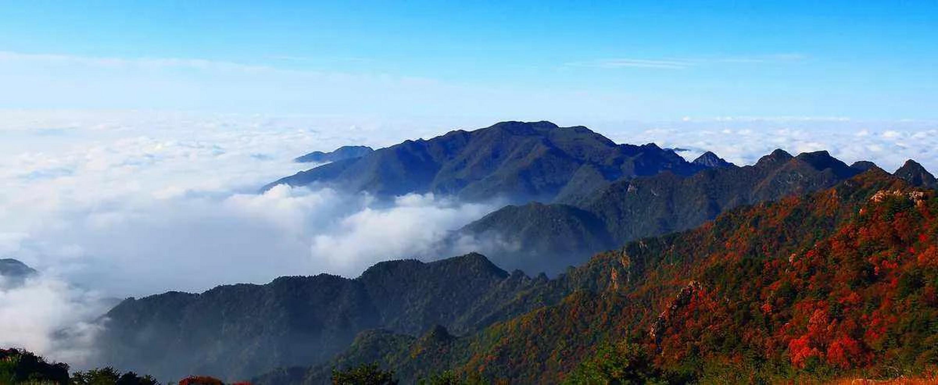 周末去哪儿玩 去垣曲县历山国家自然保护区呀!