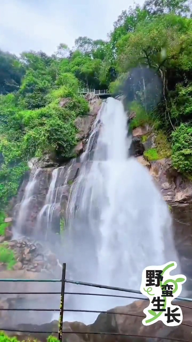 真的真的很美丽啊_金平马鞍底拉灯瀑布群玩法