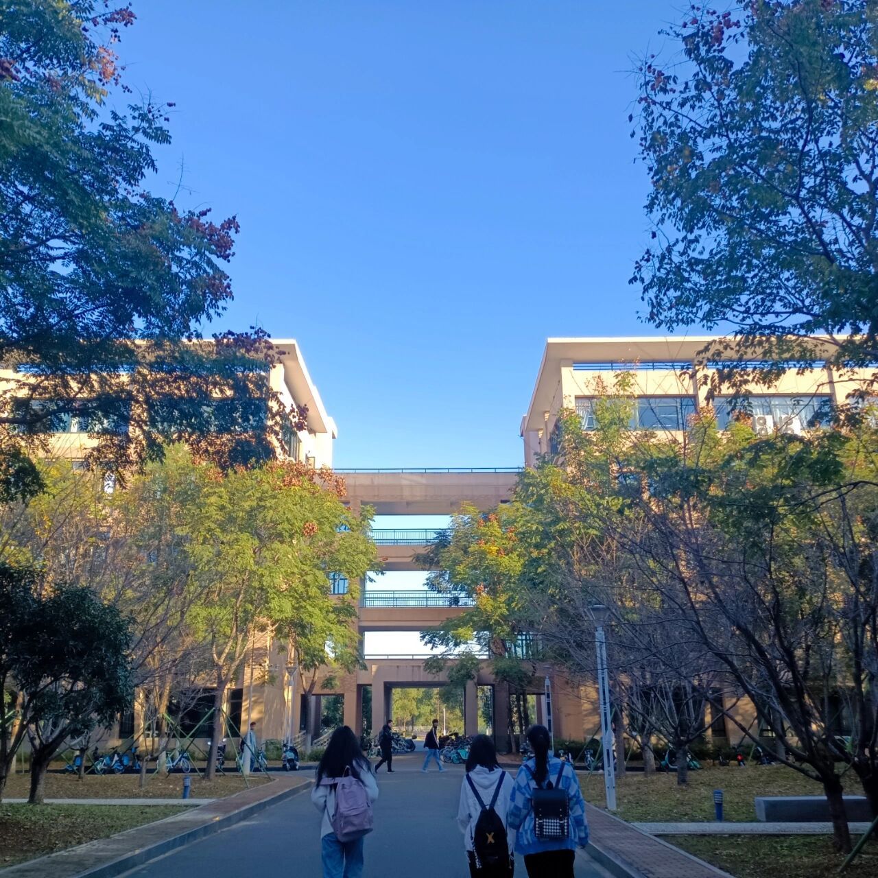 台州学院椒江校区07     欢迎大家加入台院大家庭,这里是21级学姐