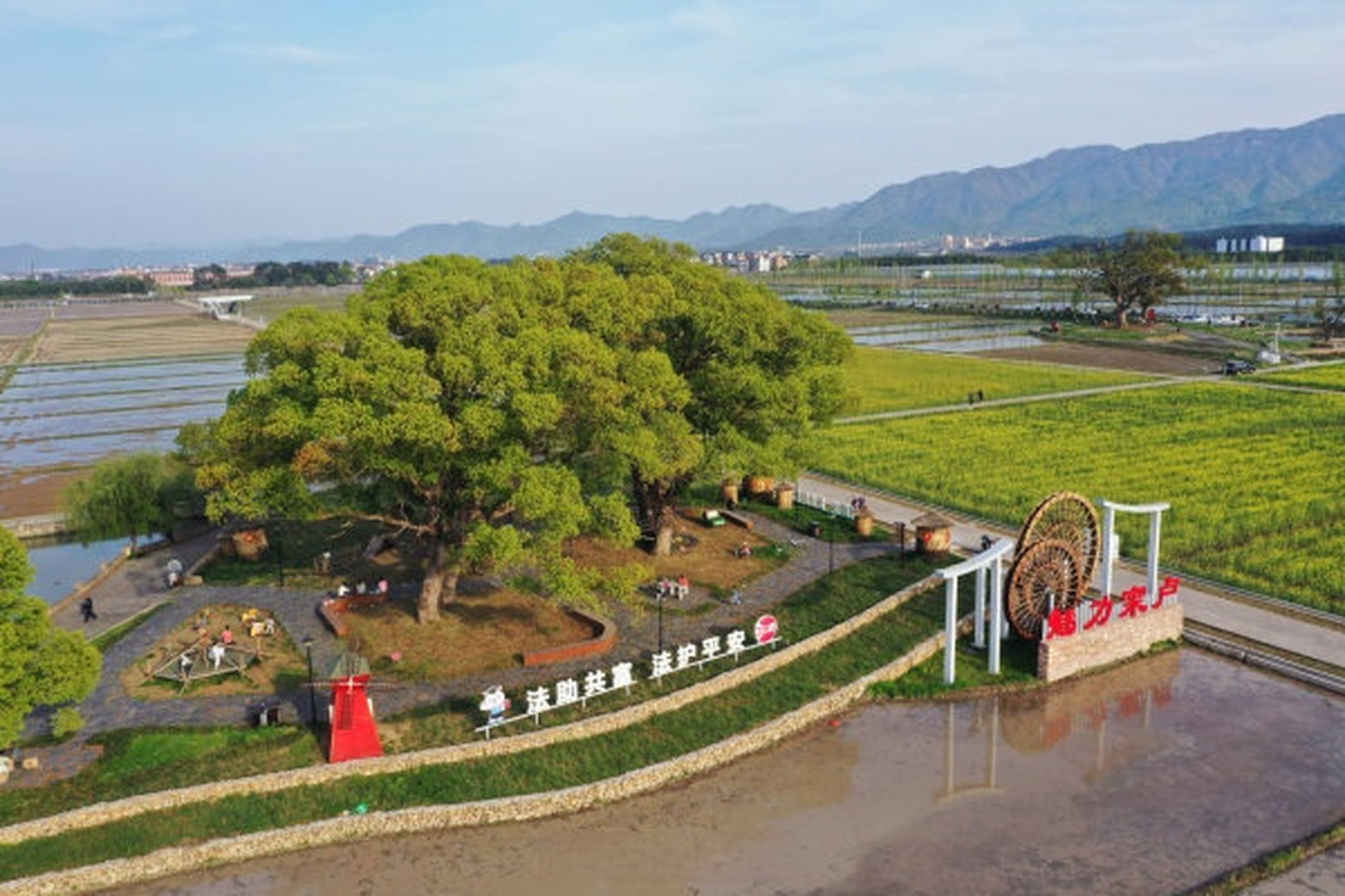 【共享田园春色满园】东阳市城东街道寀卢村"共享田园"内风景美如画