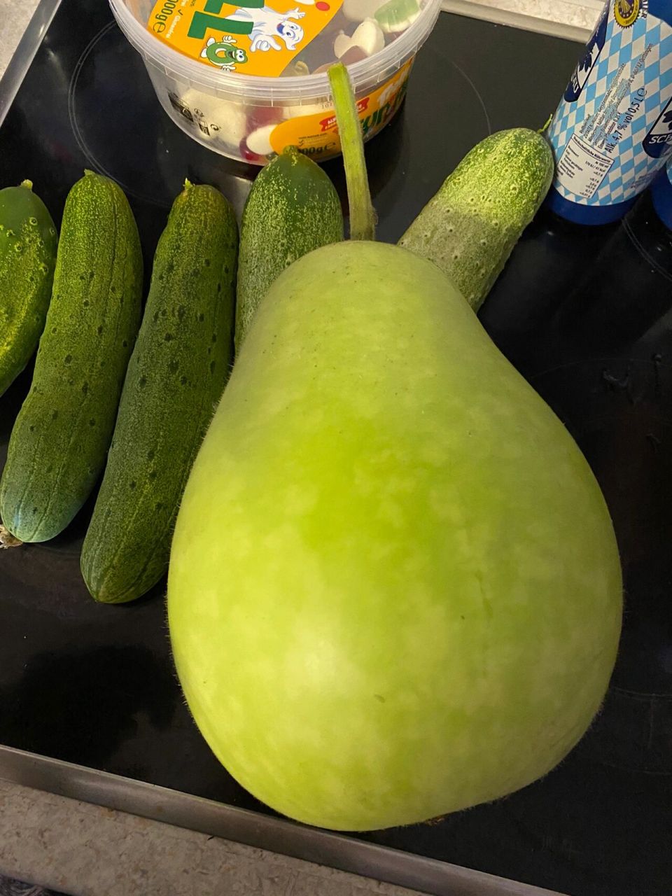 菜葫芦(瓠瓜) 如此巨大,把我整不好意思  今年的瓠瓜苗子送送邻居了一