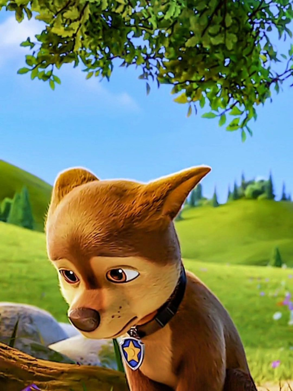 汪汪队电影版阿奇高清图集