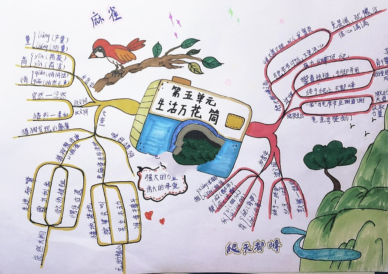 四年级上册语文第五单元思维导图