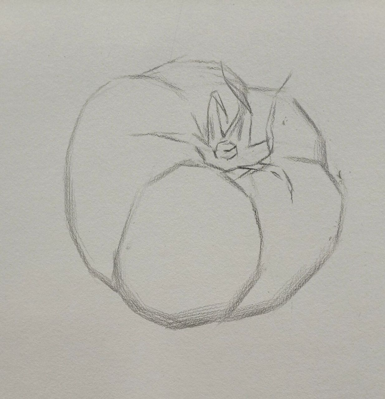 静物素描,西红柿 大关系步骤,简单清晰,快来收藏呦