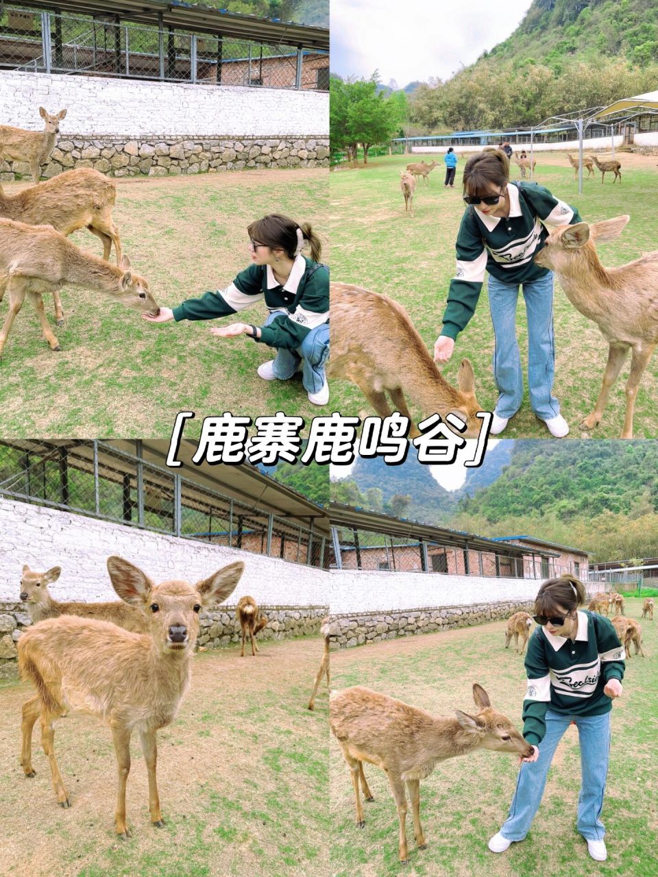 柳州鹿寨鹿鸣谷包场!