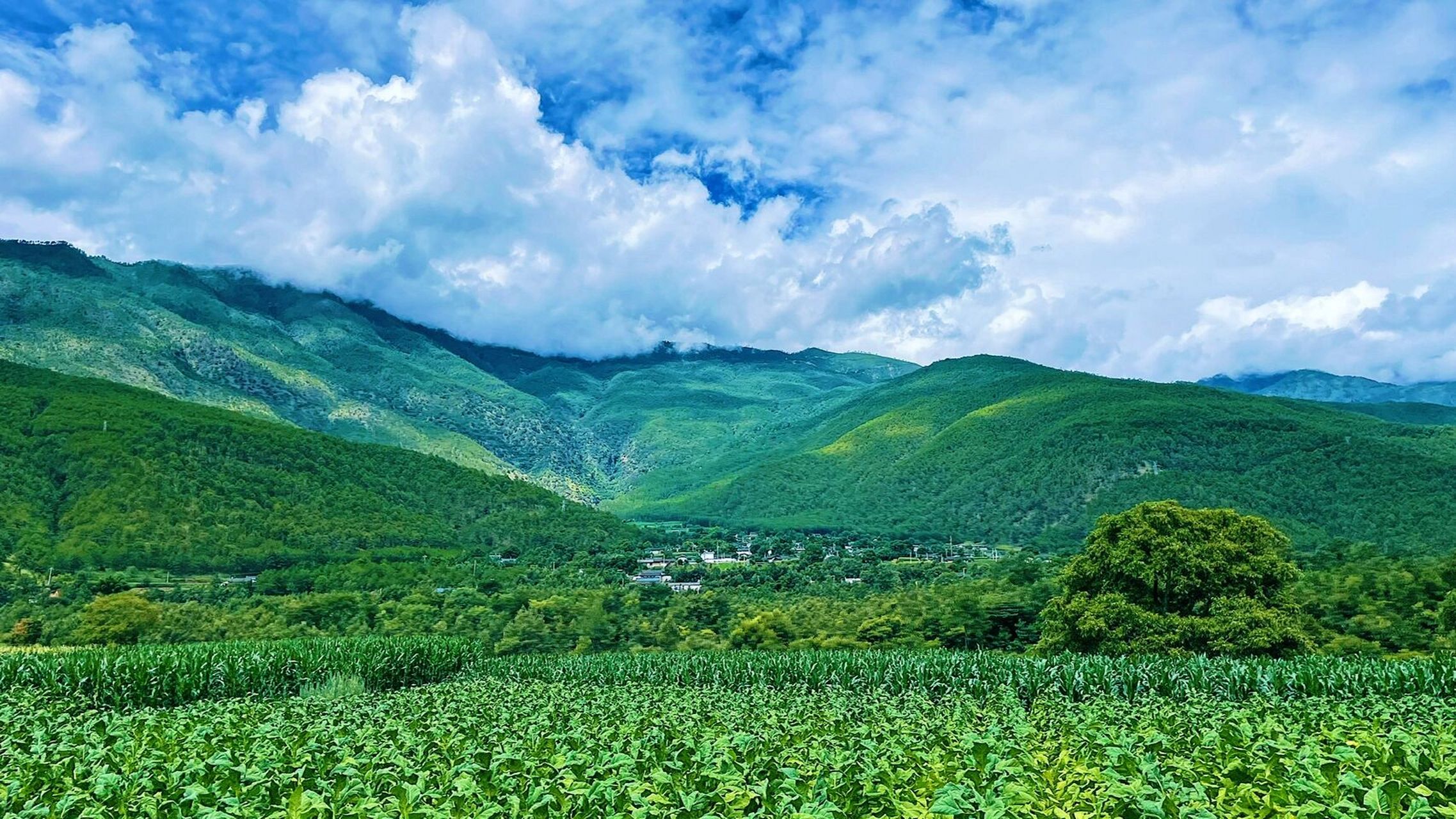 塔城虽没有雪山加持,可这高原上的田园风光却是无限美好,触手可及