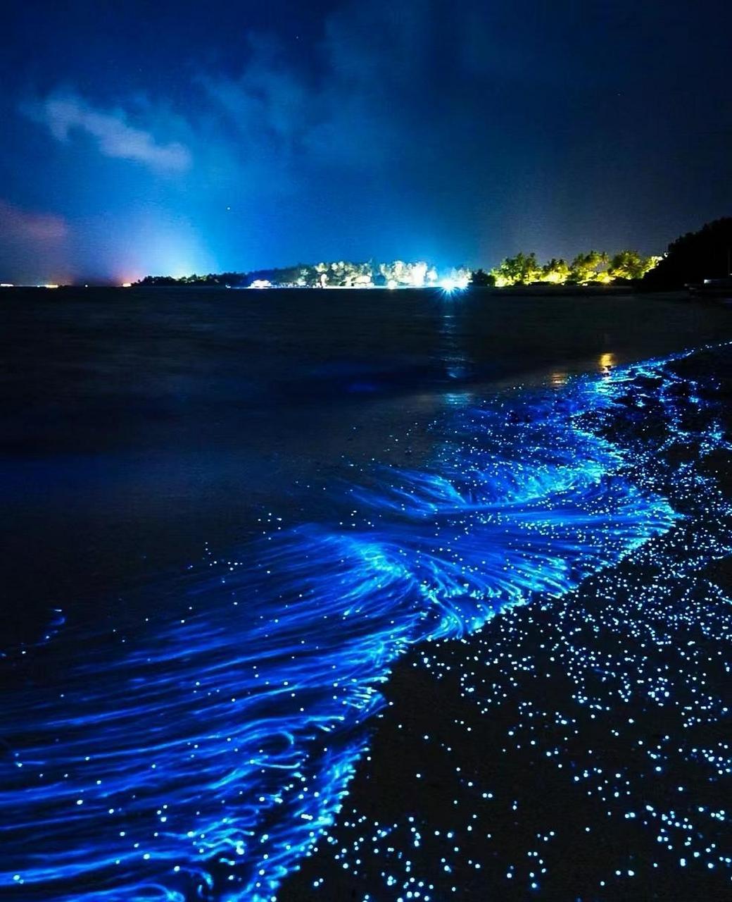 天津海边蓝眼泪,看这篇保姆攻略就够了 天津蓝眼泪再次浪漫回归!