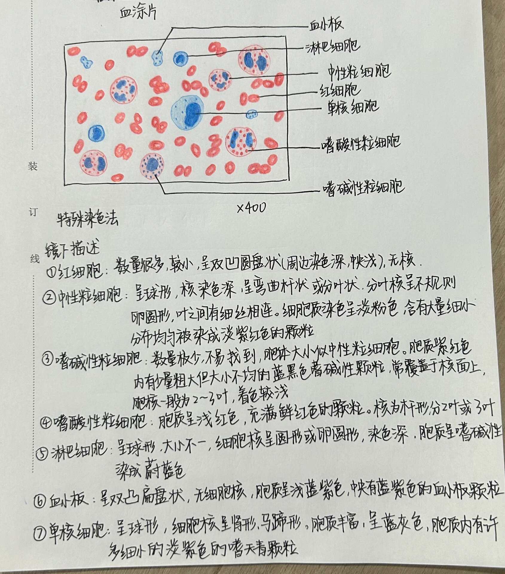 组胚实验报告