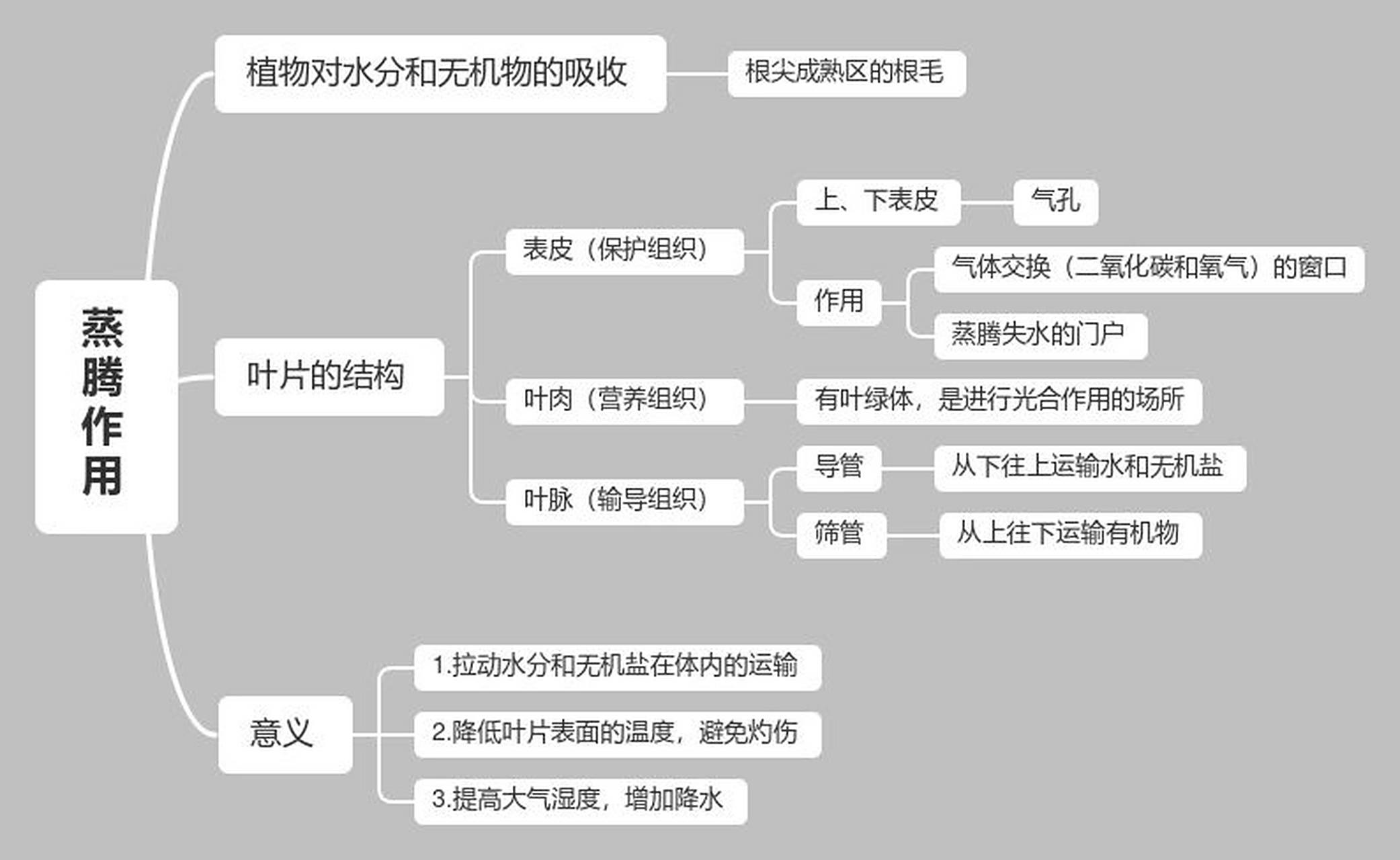 【生物篇】初一上册「蒸腾作用」思维导图 马上要进入初一学生的期末
