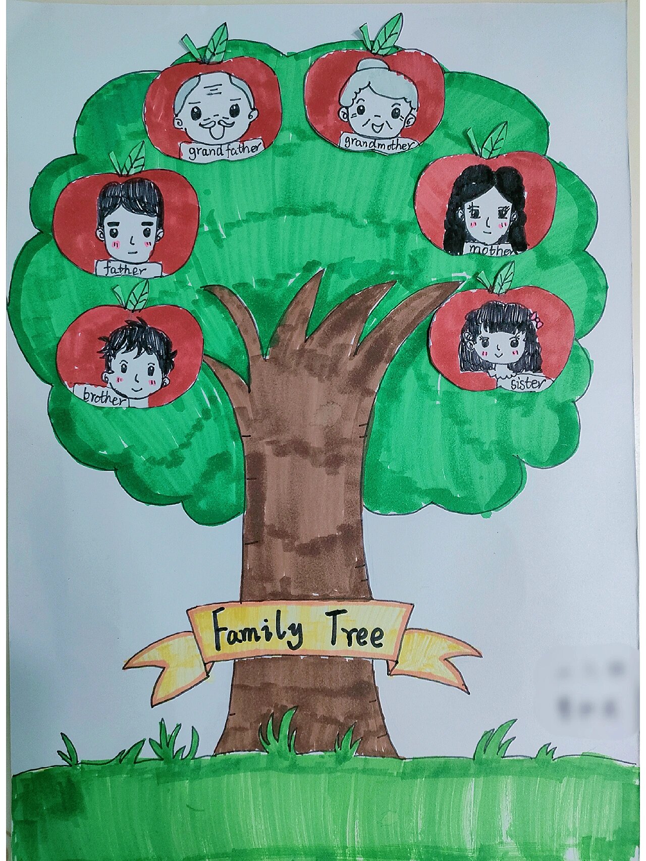 家庭树 family tree