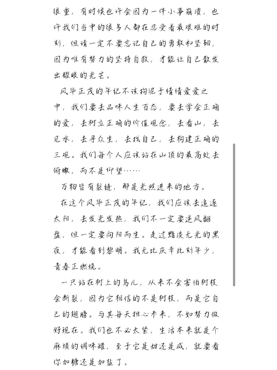 向阳而生作文(700字)