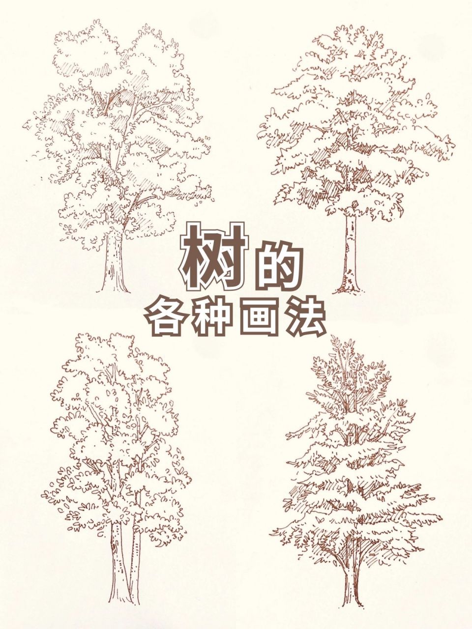 钢笔速写|56615棵树的线稿分享7315简单又 99团练课程示范