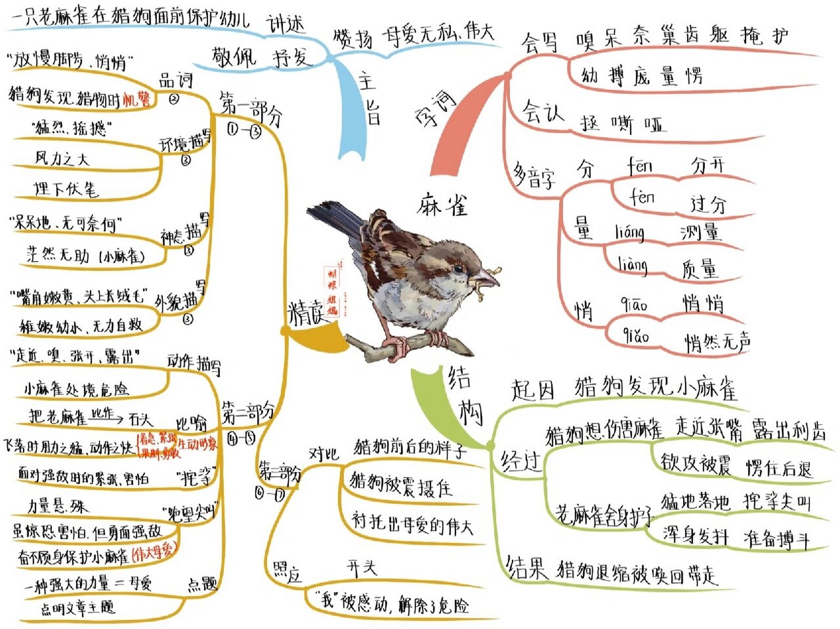 四语上丨16《麻雀》思维导图 母爱是世界上最伟大的一种感情,为了孩子