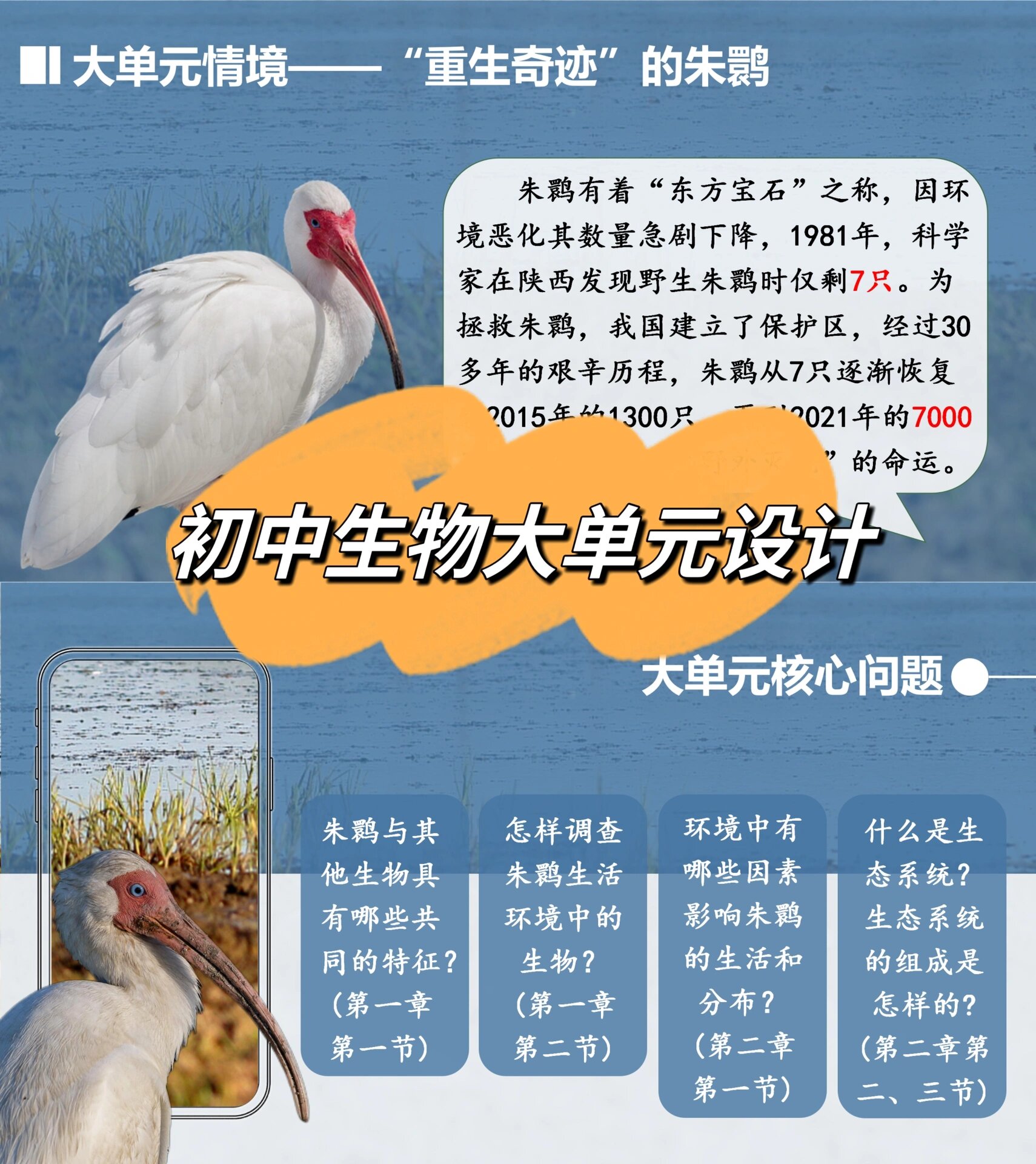 00私藏初中生物教学设计分享:《生物的特征