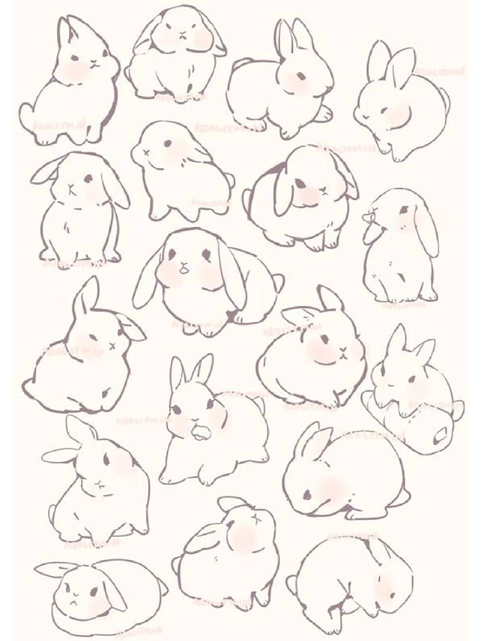 兔子怎么画 分享艺术家教程