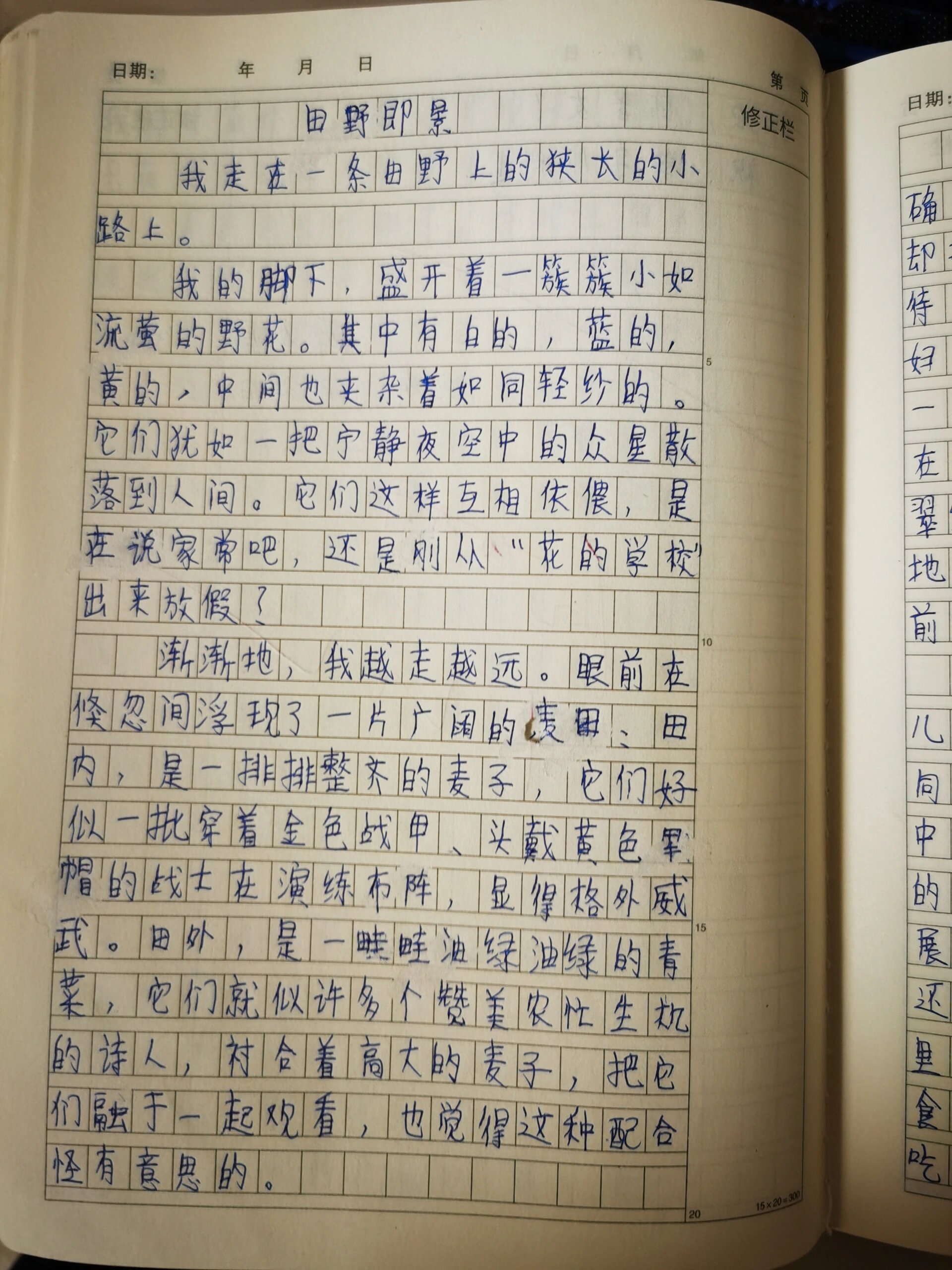 田野即景作文500字图片