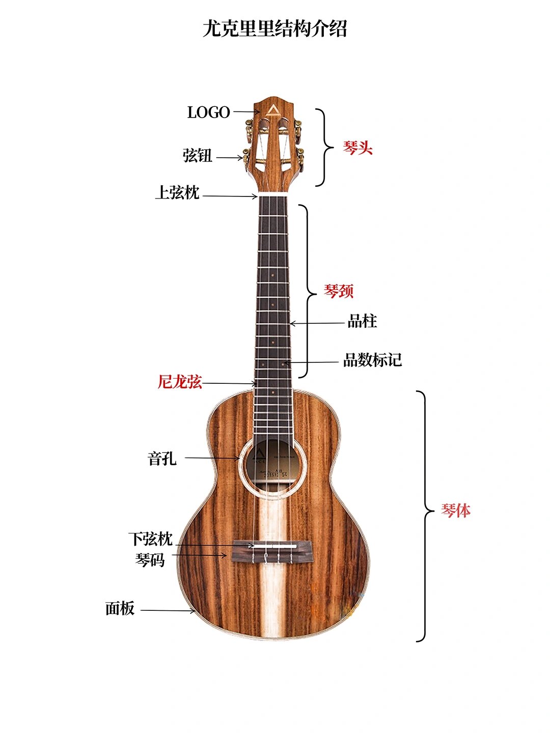 吉他老师的课件分享