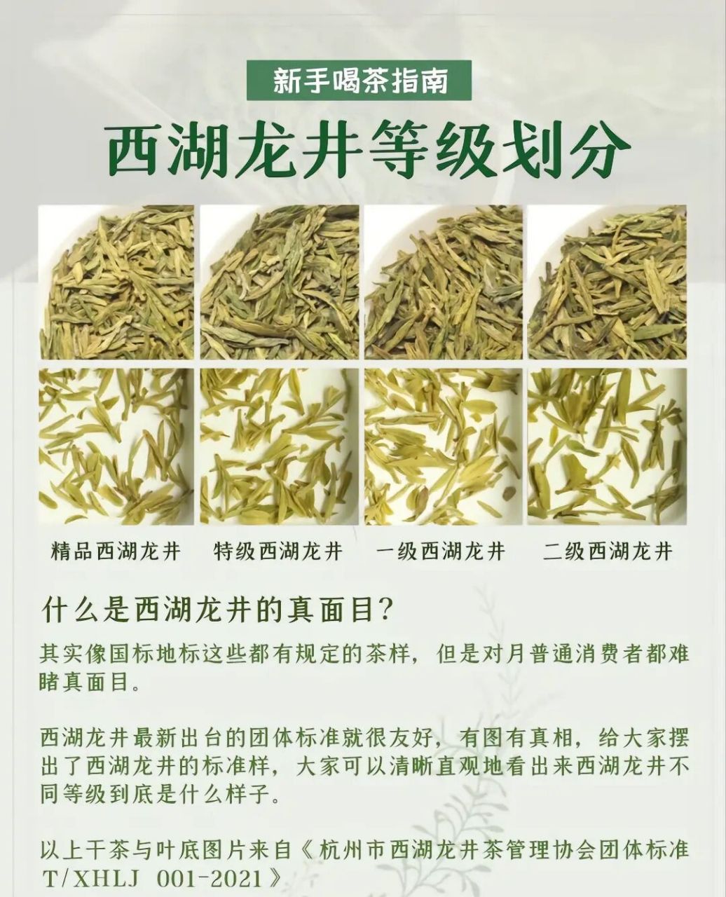 龙井茶图片 等级图片