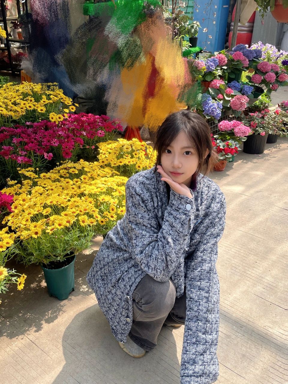 柳州南方花鸟市场打卡～93 春天到啦!