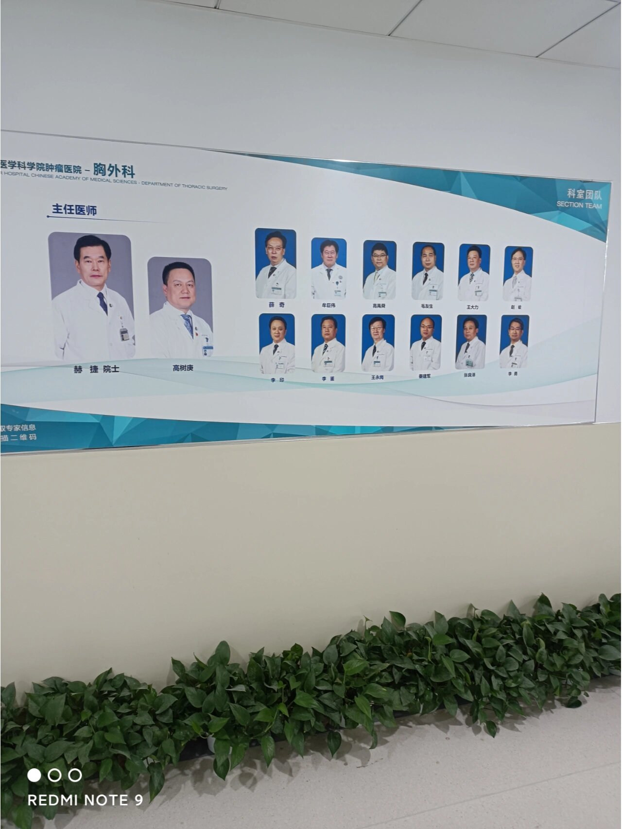 中國醫(yī)學科學院腫瘤醫(yī)院、全程透明收費網(wǎng)上代掛專家的簡單介紹