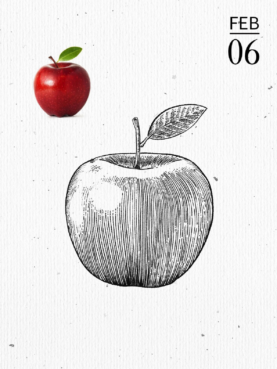 钢笔画苹果黑白线板绘手绘风 一种线条和点单位结合 光感留白,形态