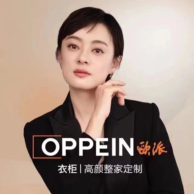 欧派十年前的代言人是蒋雯丽,第二位代言人是孙俪.