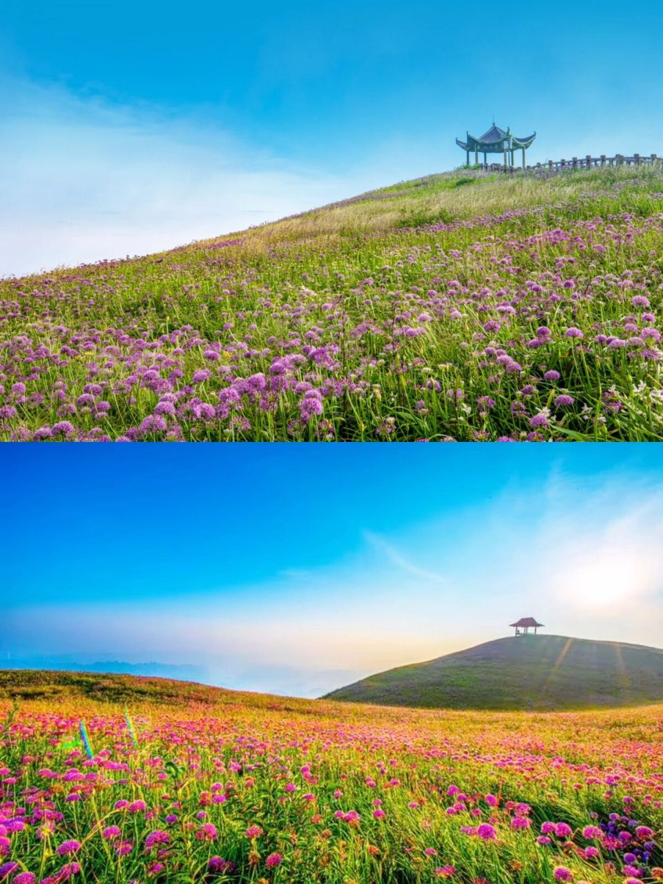 贵州小众打卡地97阿西里西韭菜坪游玩攻略99 看过了人山人海的