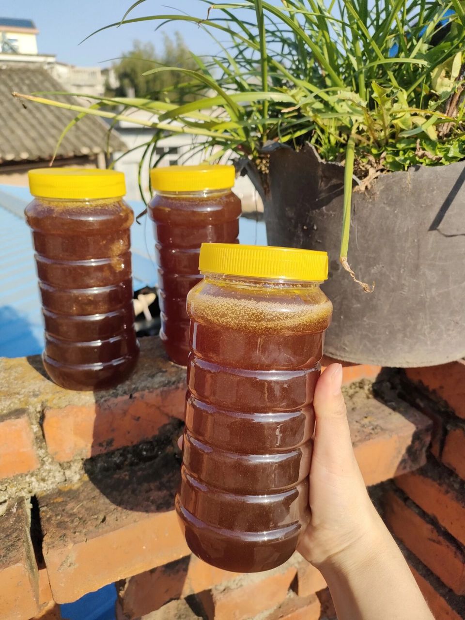 蜂蜜过期了还能喝吗没开封能放多久(蜂蜜过期不密封还能喝吗)